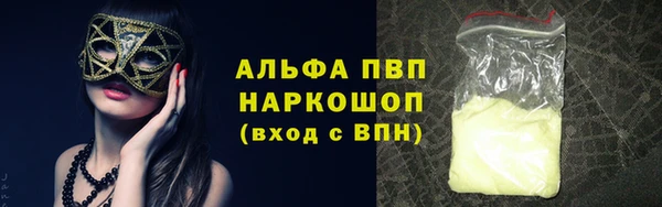 прущие грибы Верхнеуральск