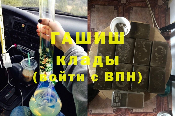 индика Надым
