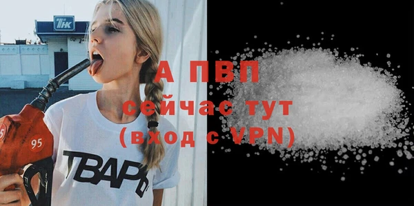 гидра Бронницы