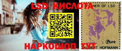 гидропоника Пугачёв