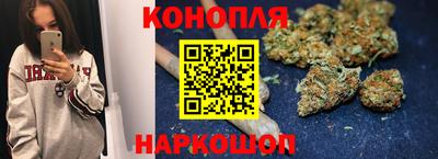 гидропоника Пугачёв