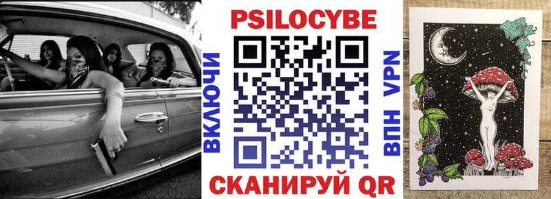 Псилоцибиновые грибы Cubensis  Дальнегорск 
