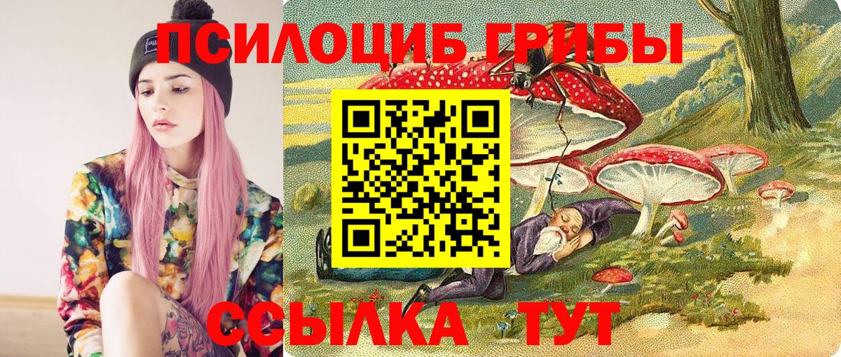 Галлюциногенные грибы MAGIC MUSHROOMS  Вход с VPN  Дальнегорск 