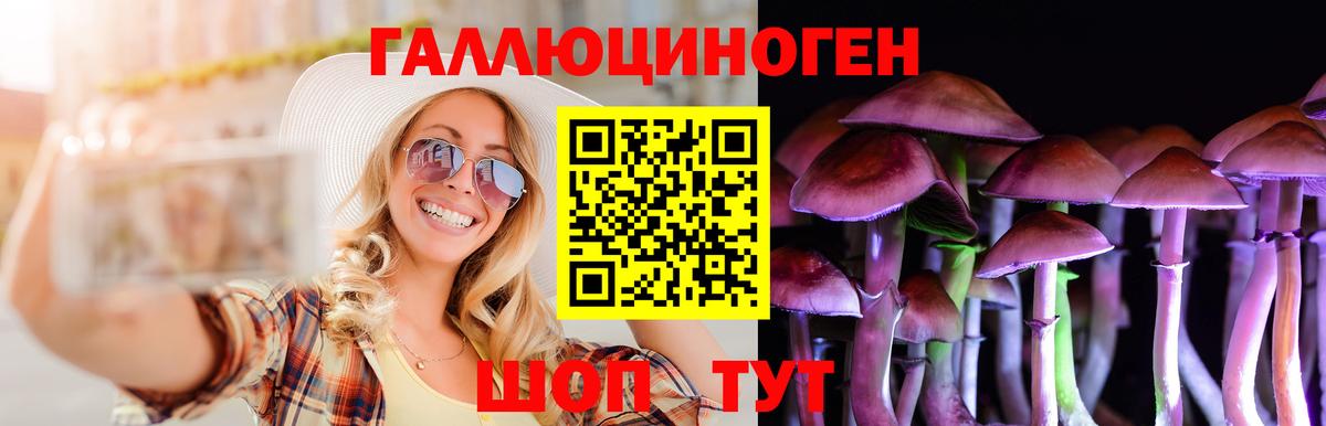 Галлюциногенные грибы ЛСД Дальнегорск