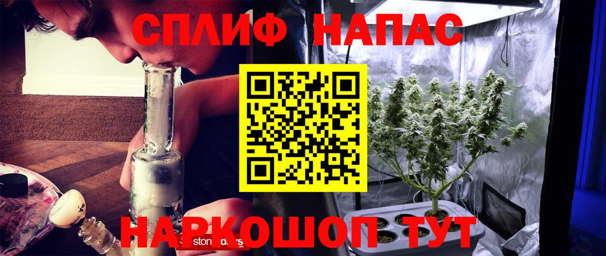 Конопля сатива Дальнегорск